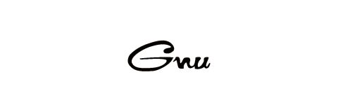 Gnu Snowboards