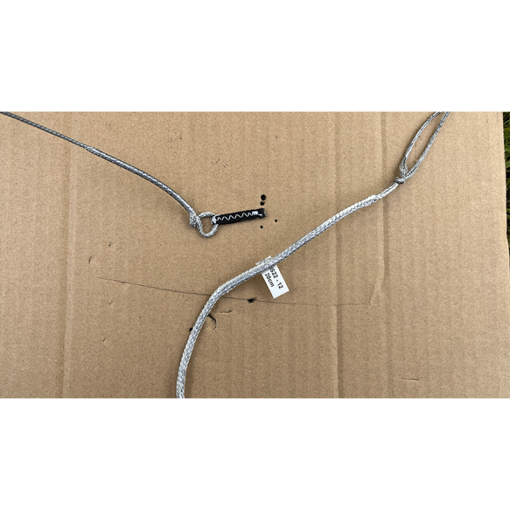 Duotone Dice SLS 12 qm Testkite 2022 Farbe C03