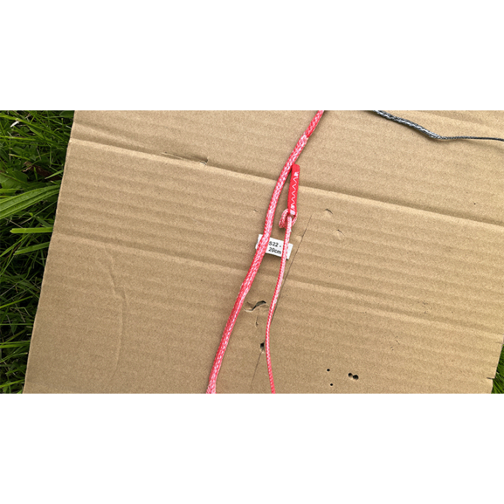 Duotone Dice SLS 12 qm Testkite 2022 Farbe C03