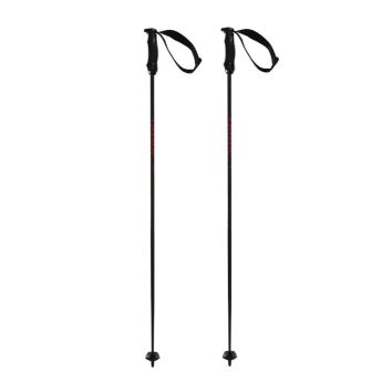 Völkl Speedstick Carbon Ski Stock