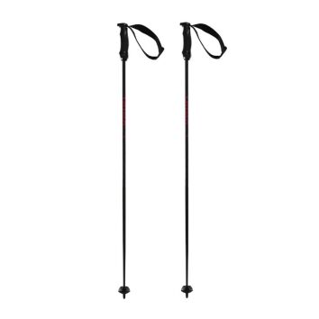 Völkl Speedstick Carbon Ski Stock