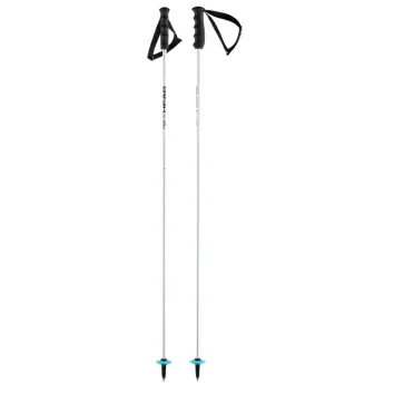 Head WC Rebels Carbon Ski Stock