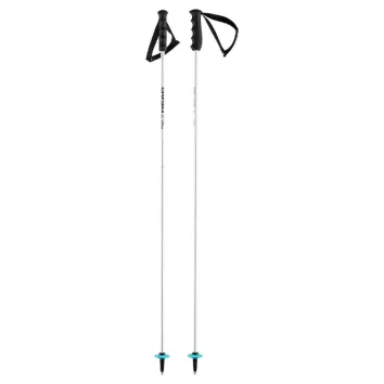Head Worldcup SL Ski Stöcke (White)