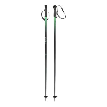Head Frontside Ski Stöcke (Green)
