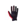 Fox Dirtpaw MTB Handschuh (Red)