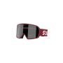 Bliz G002 Ski Brille (Red/Silver)