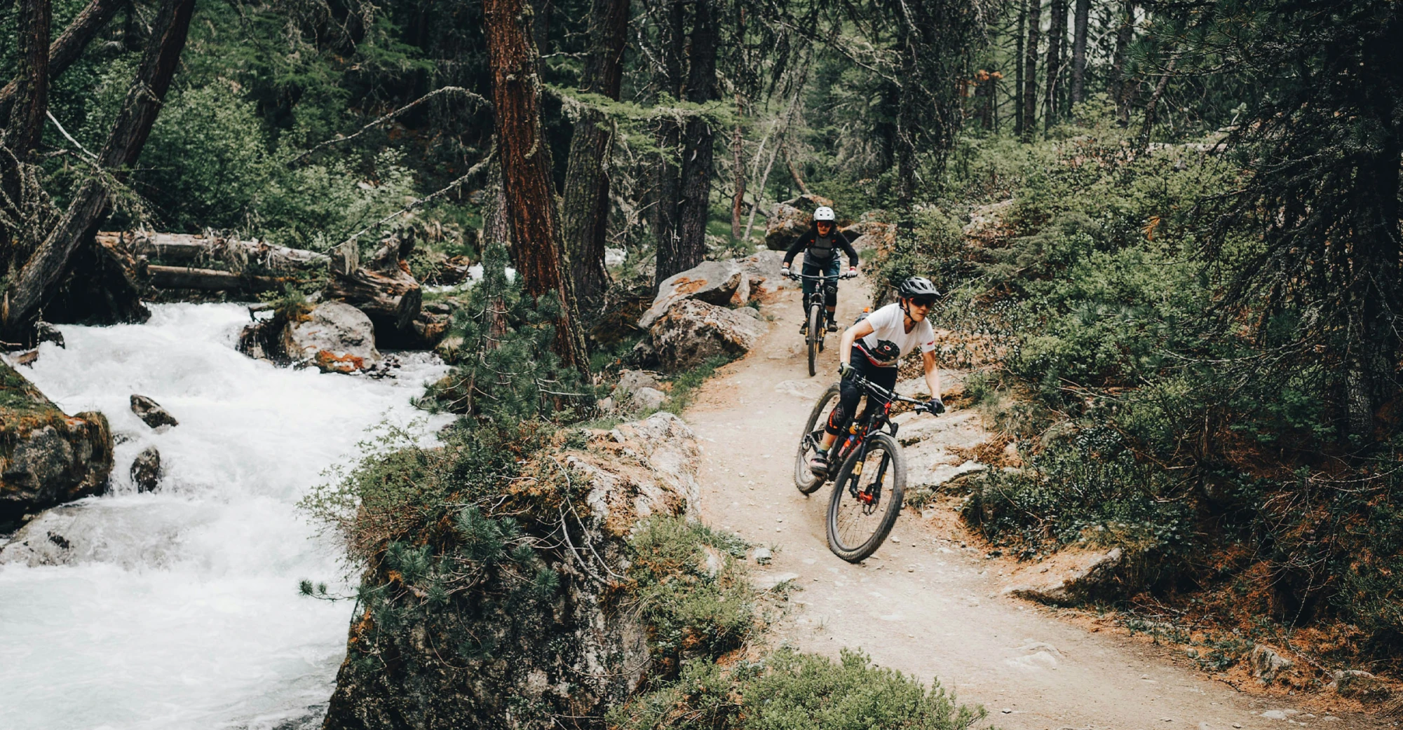 Mountainbiker auf einem Trail im Wald